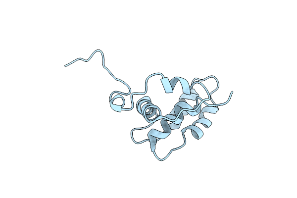 1C3Z image