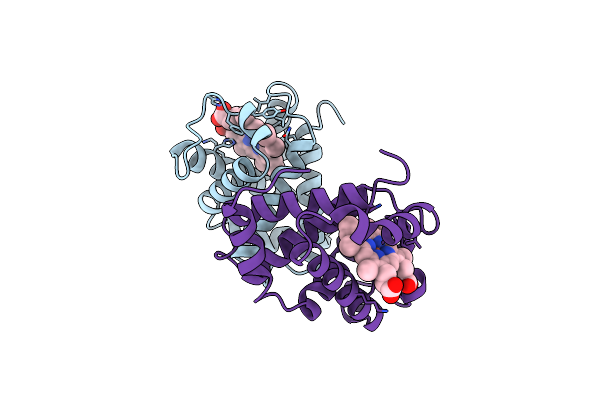 1C40 image