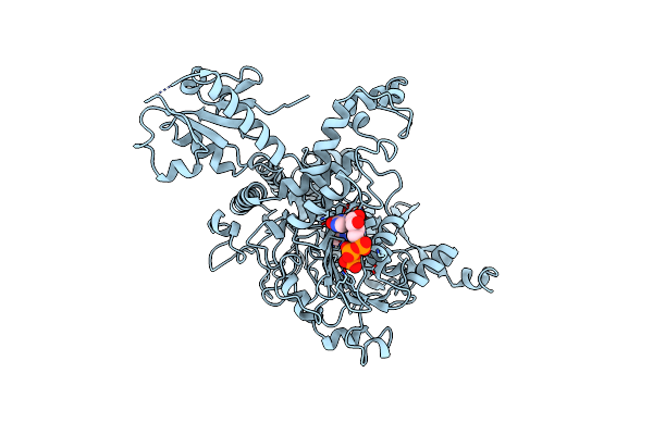 1C4K image