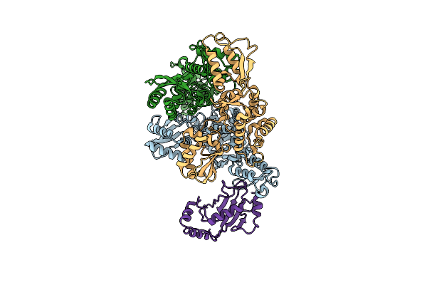 1C4Z image