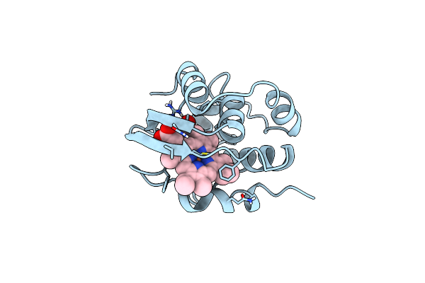 1C52 image