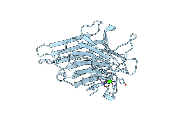 1C57 image