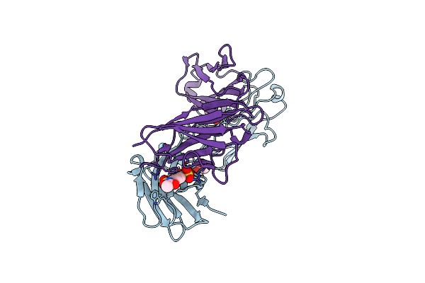 1C5C image