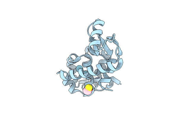 1C61 image