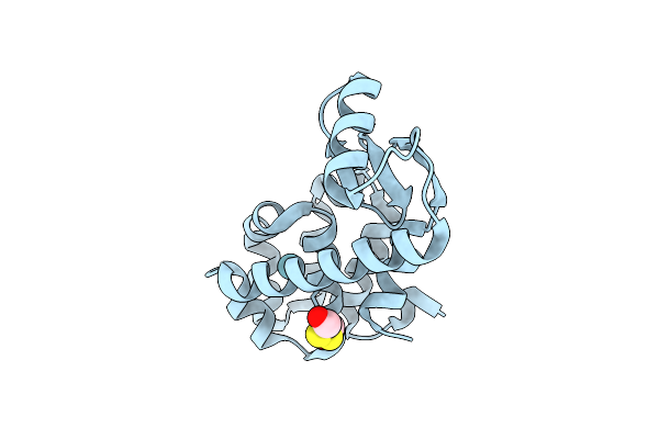 1C65 image