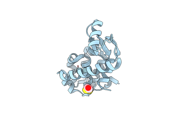 1C66 image