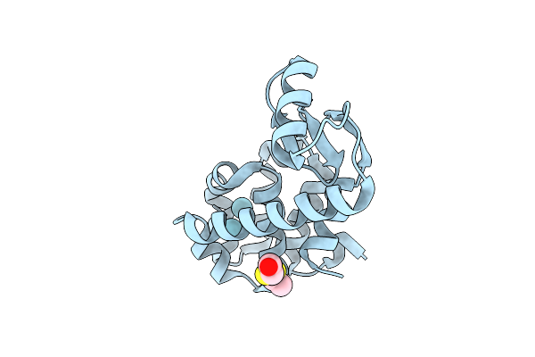 1C6C image