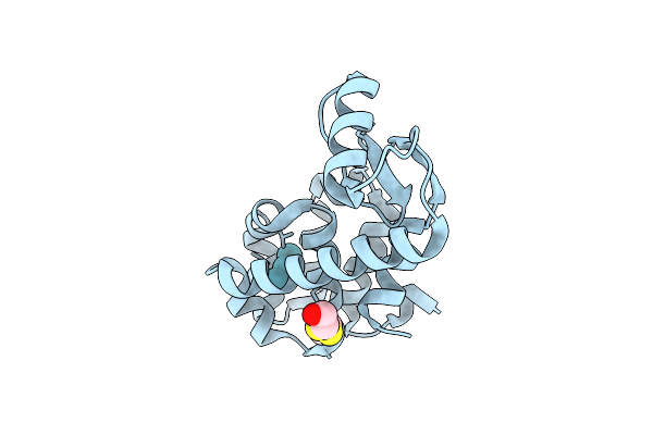 1C6E image