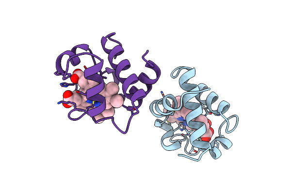 1C6O image