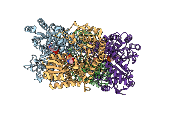 1C7G image