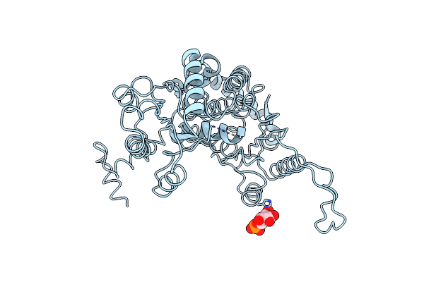 1C7R image