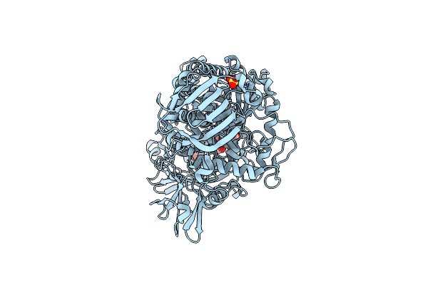 1C7S image