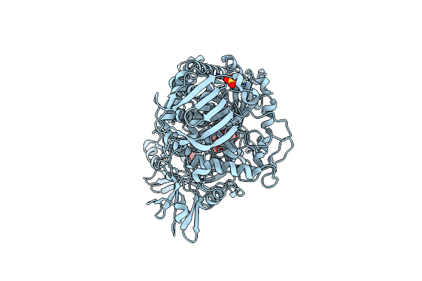 1C7T image