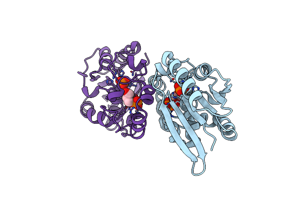1C7Z image