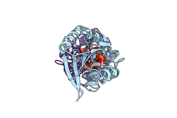 1C80 image