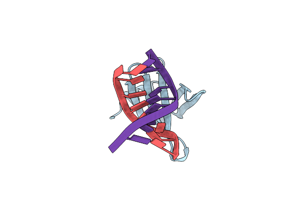 1C8C image