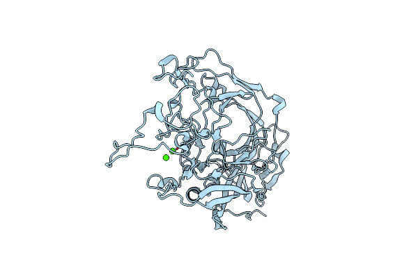 1C8G image