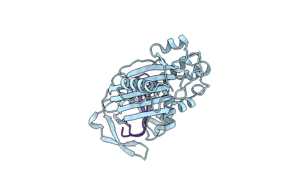 1C8O image