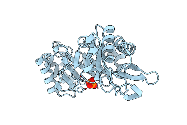 1C8X image