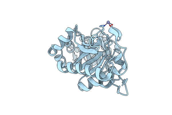 1C8Y image