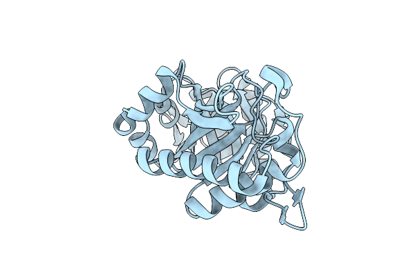 1C91 image