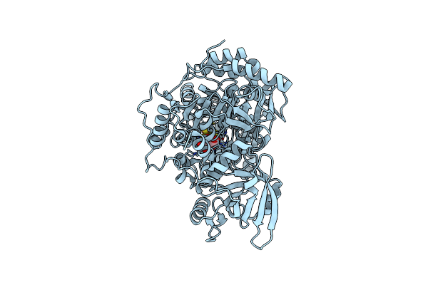 1C96 image