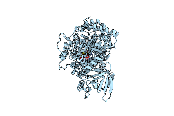 1C97 image