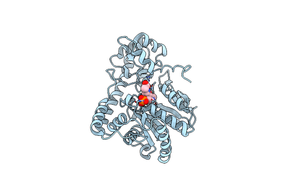 1C9C image