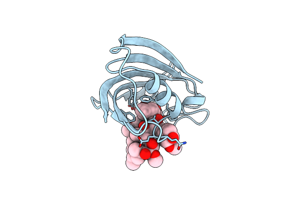 1C9H image