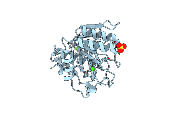1C9J image
