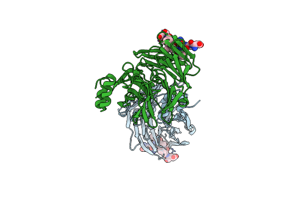 1C9L image