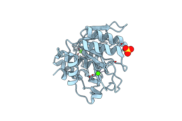 1C9M image