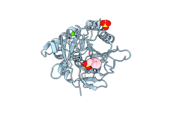 1C9N image