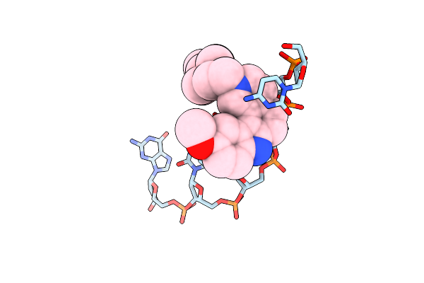1C9Z image