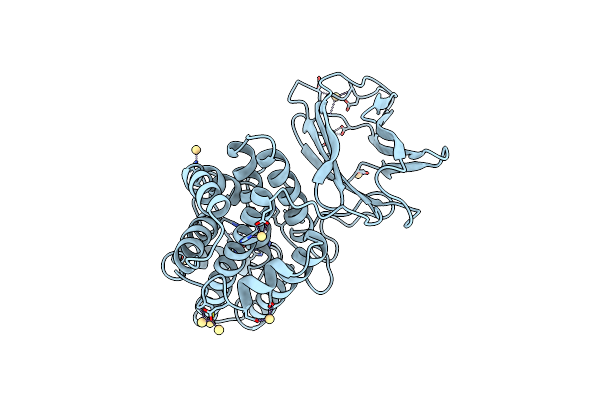 1CA1 image