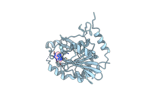1CB0 image