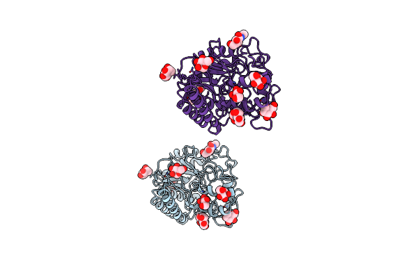 1CB2 image