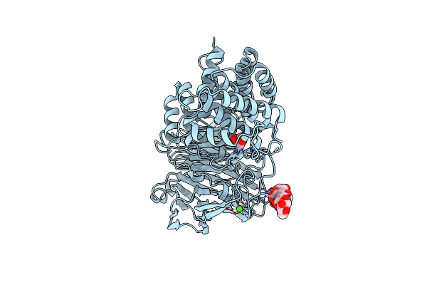 1CB8 image