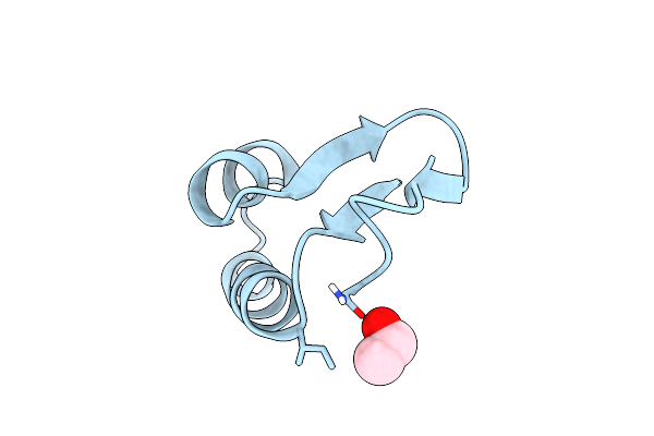 1CBN image