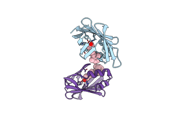 1CBR image
