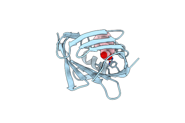 1CBS image
