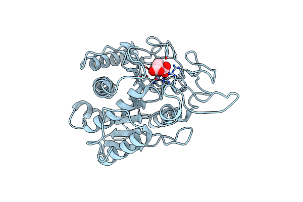 1CBX image