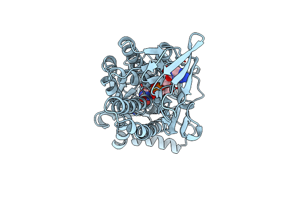 1CC4 image