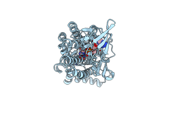 1CC6 image