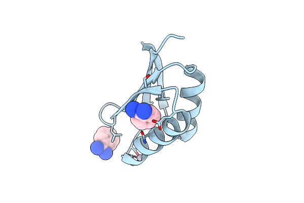 1CC8 image