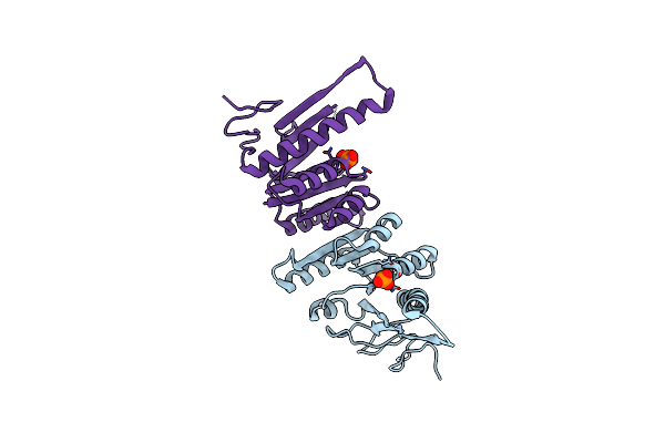 1CDD image