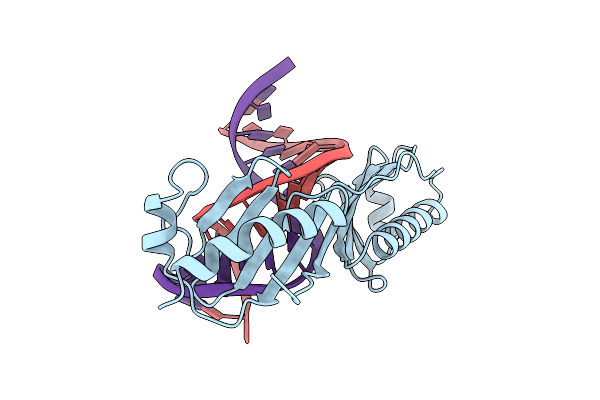 1CDW image