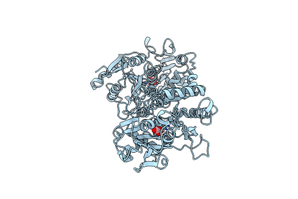1CE2 image