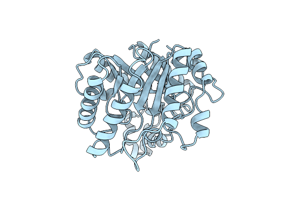 1CEC image