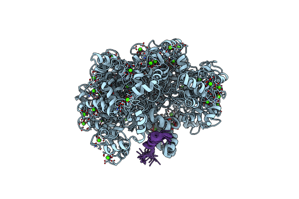 1CFF image
